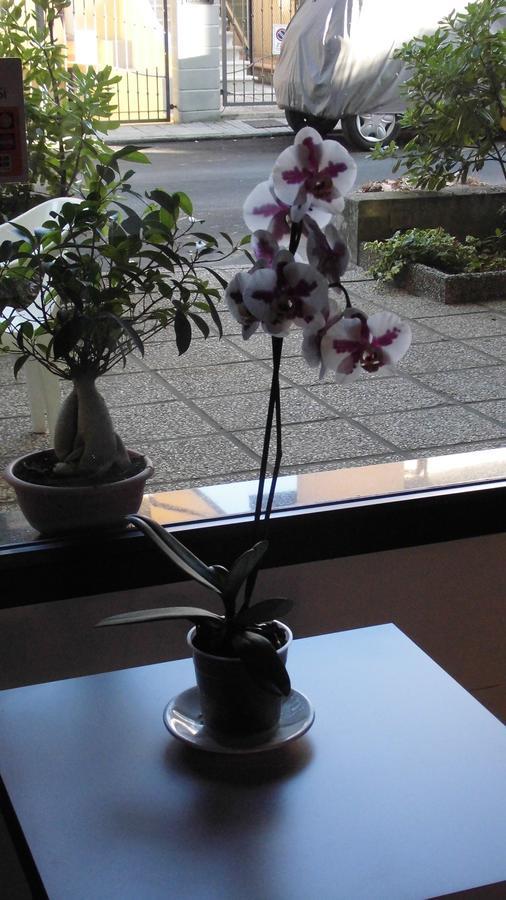 Hotel Elde Riccione Dış mekan fotoğraf